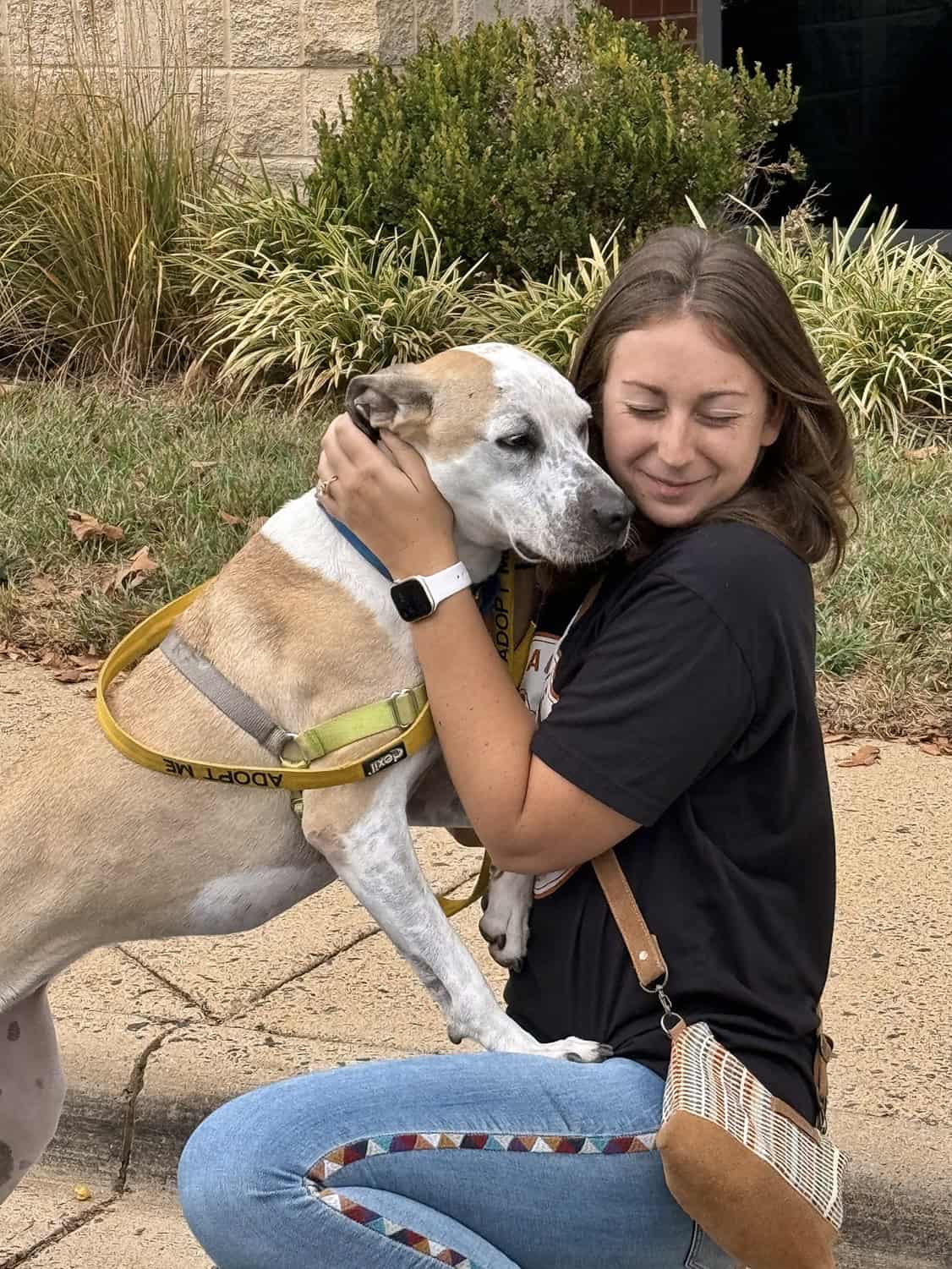 Volunteer with Dogs